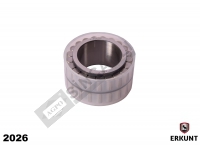 Rear Axle Bearing