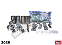 Engine Overhaul Kit
