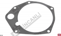 Pump Gasket