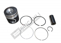 Piston Std W/Ring