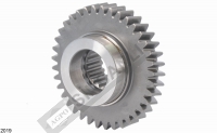Gear Z:37 Small