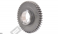 Gear