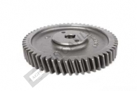 Gear,Fuel Pump 