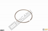 Snap Ring
