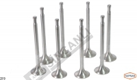 Engine Valve Kit Std (4 In- 4 Ex)