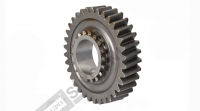 Crown Wheel & Pinion