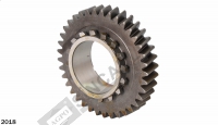 Gear Z:37