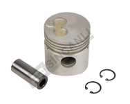 Piston Std W/Ring