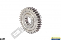 Gear 