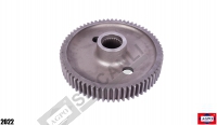 Gear