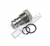 Hydraulic Pump