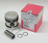 Piston &Pin W/Ring Set 