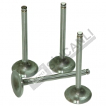 Inlet Valve