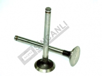 Exhaust Valve