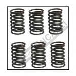 Valve Spring Inner Set (6. Pieces) Oem