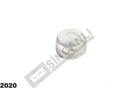GEAR COVER PLUG