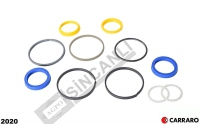 Hydraulic Steering Cylinder Repair Kit
