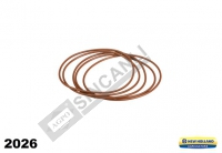 O-Ring