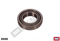 Cylindrical Roller Bearing