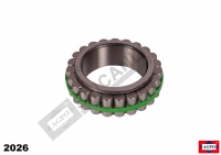 Planetary Bearing
