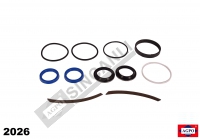 Hydraulic Cylinder Seal Kit
