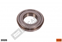 GRUP MİL BİLYASI 6210 ZNR Ø50-90X20MM