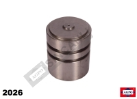 Hydraulic Piston