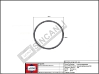 Engine Liner Seal